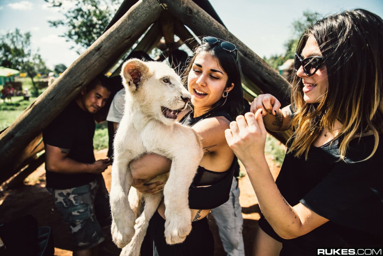 Zum Welttierschutztag: Diese Top-DJs setzen sich für Tiere ein!