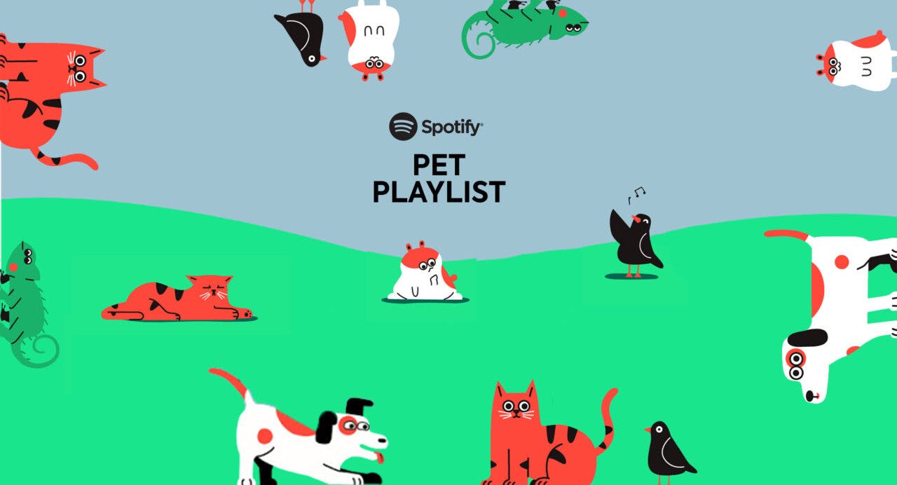 So erstellst du eine eigene Spotify-Playlist für dein Haustier
